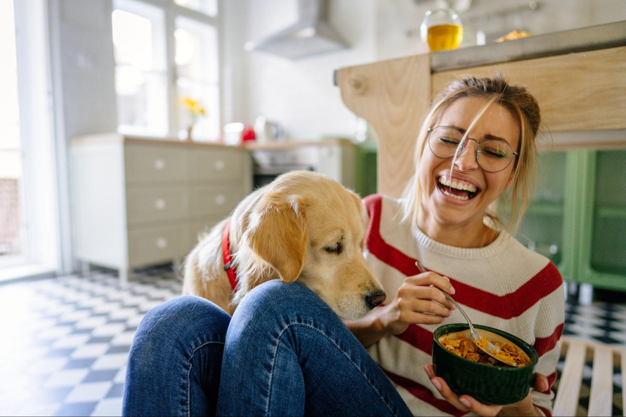 The Importance of High-Quality Ingredients in Your Dog's Diet