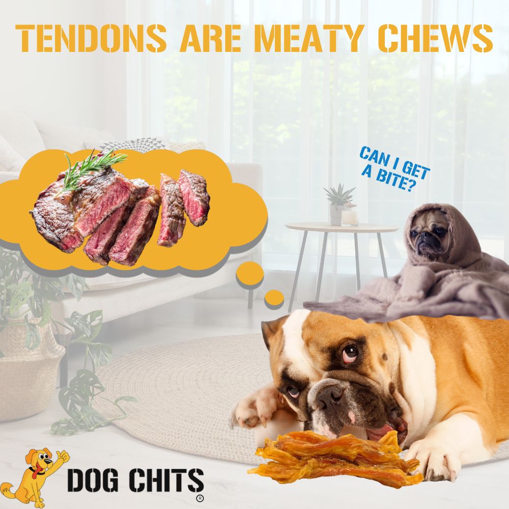 Beef Tendons, 7-9 Inch, 6 Pack