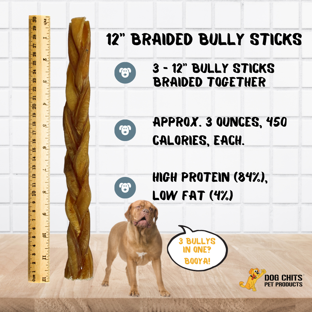 Braided Bully Sticks, 12 Inch, 3 Pack