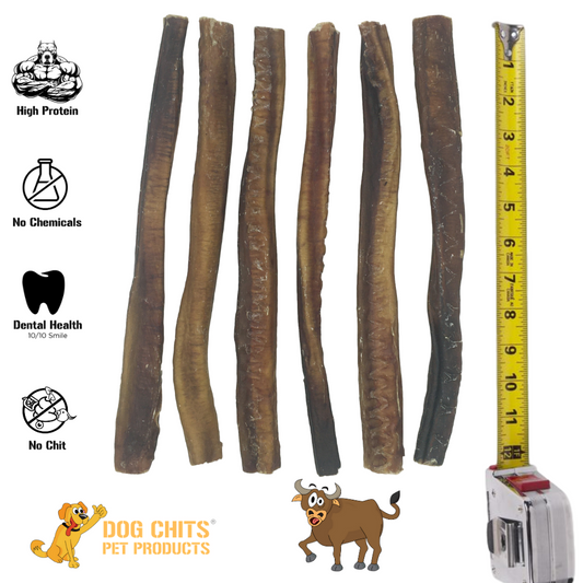 Bully Sticks - 12 Inch, 6 Pack