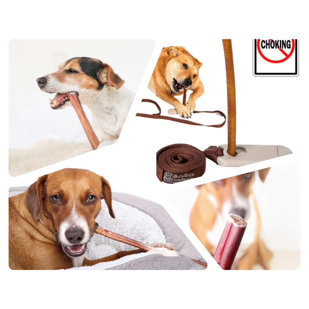 Bully Stick Companion: The Perfect Companion for Your Dog's Bully Stick
