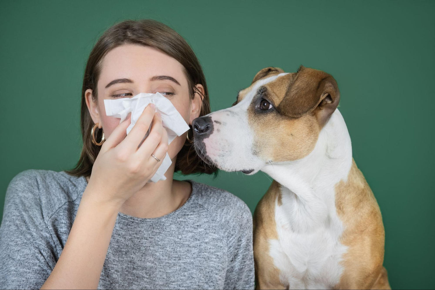 Choosing Natural Treats for Dogs with Allergies