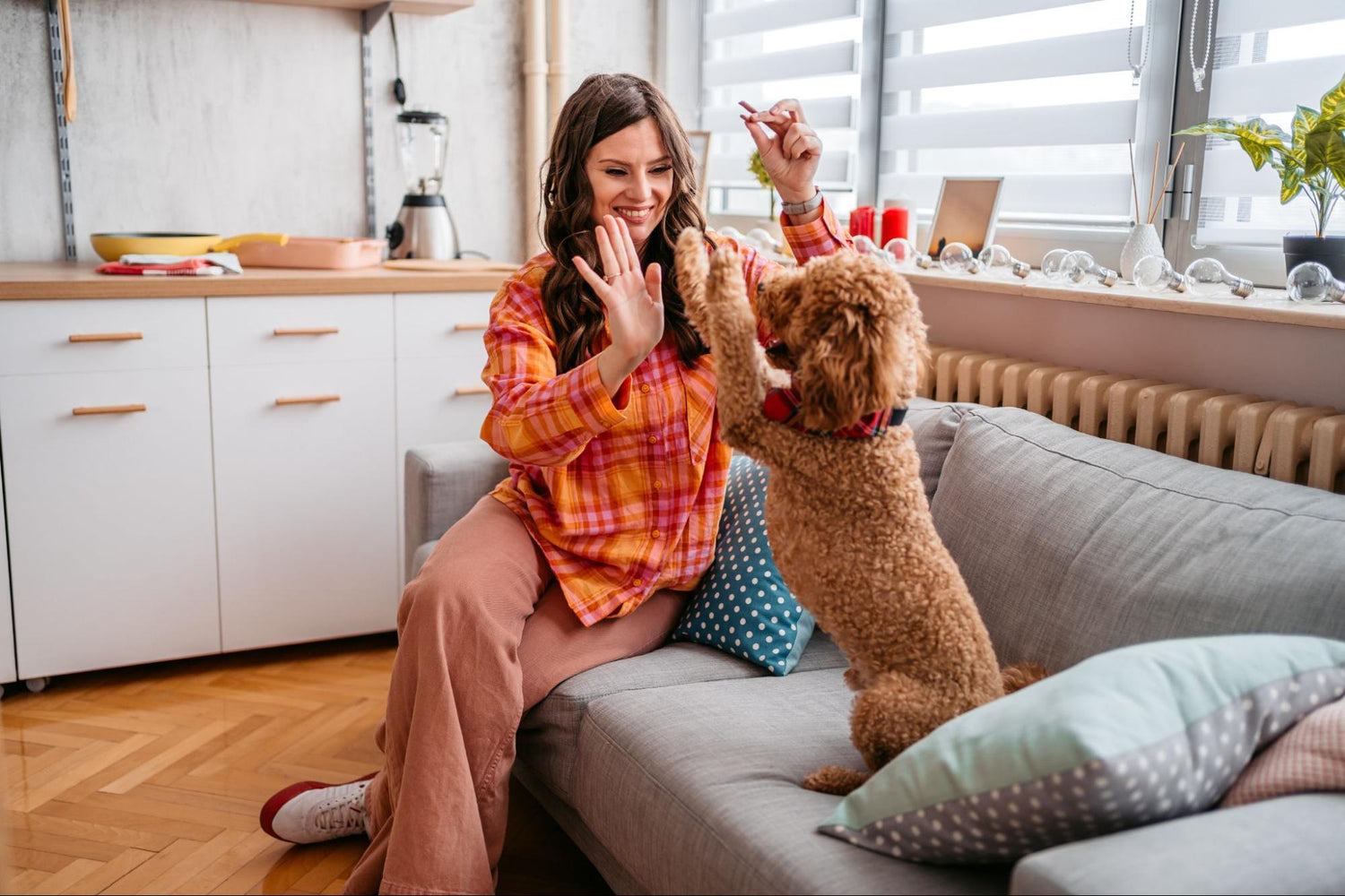 Standard Bully Sticks vs. Other Natural Dog Chews: Which One is Right for Your Pet?