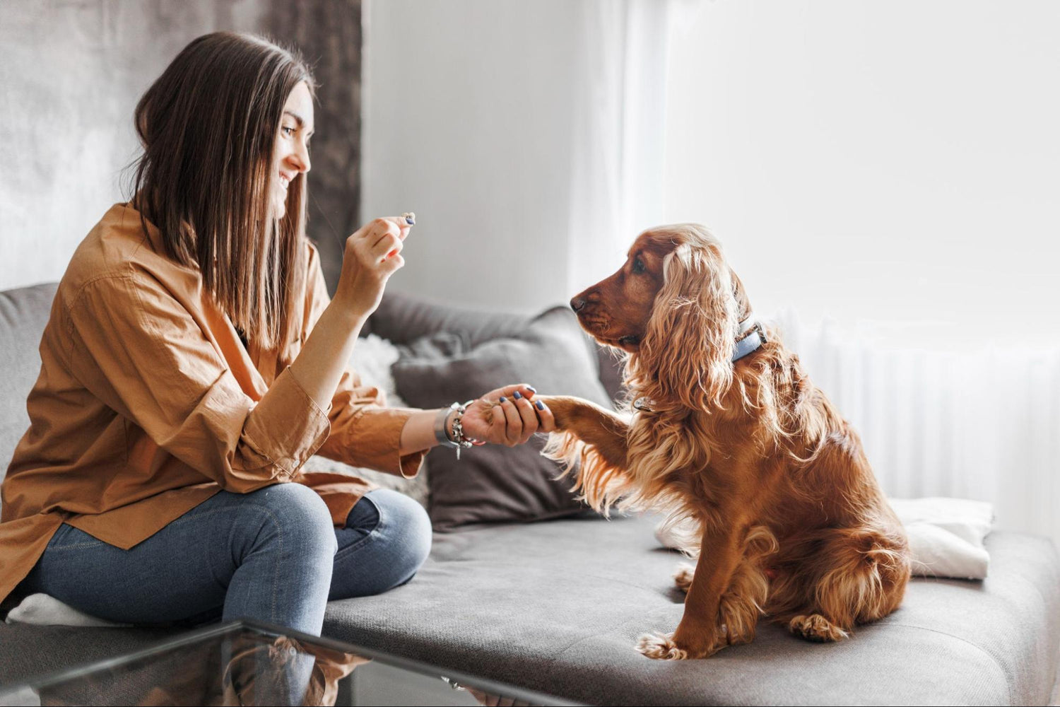 Why Lamb Lung Treats Are the Perfect Snack for Your Dog