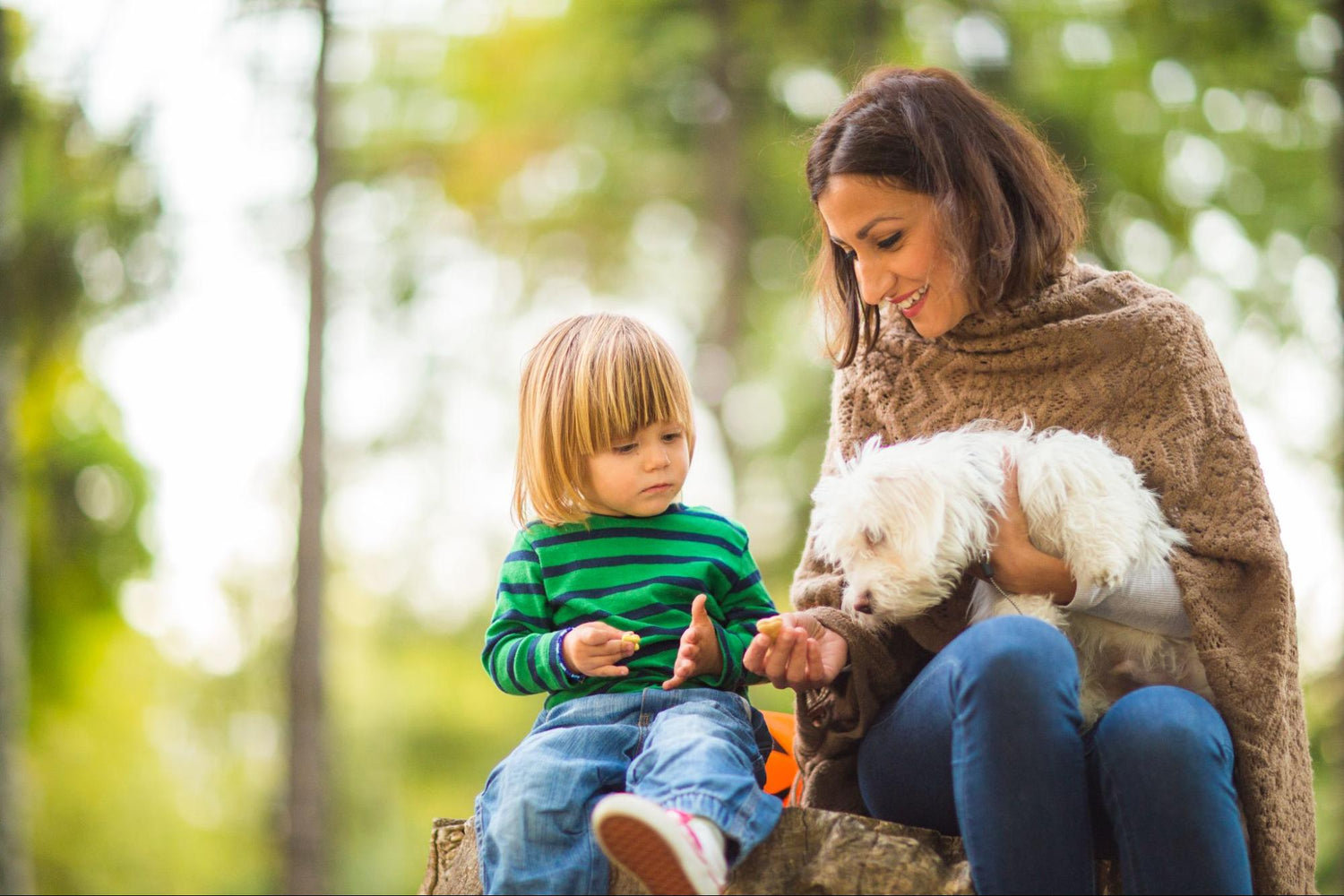 Understanding the Difference Between All-Natural Dog Treats and Traditional Treats
