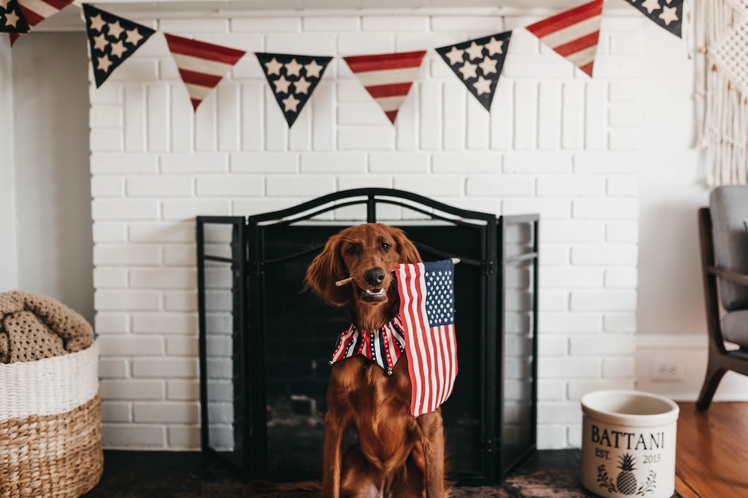 Why Made-in-USA Dog Treats Matter
