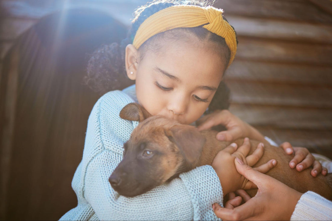 Can Puppies Have Bully Sticks? Safety Tips and Benefits