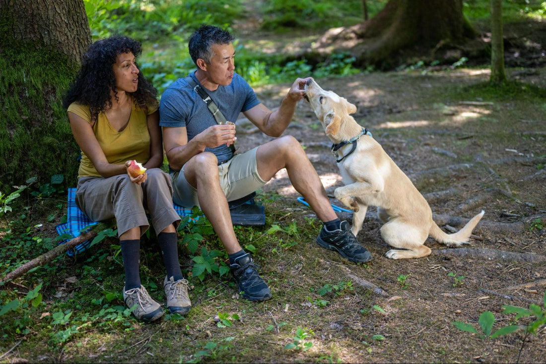 two hikers and their dog