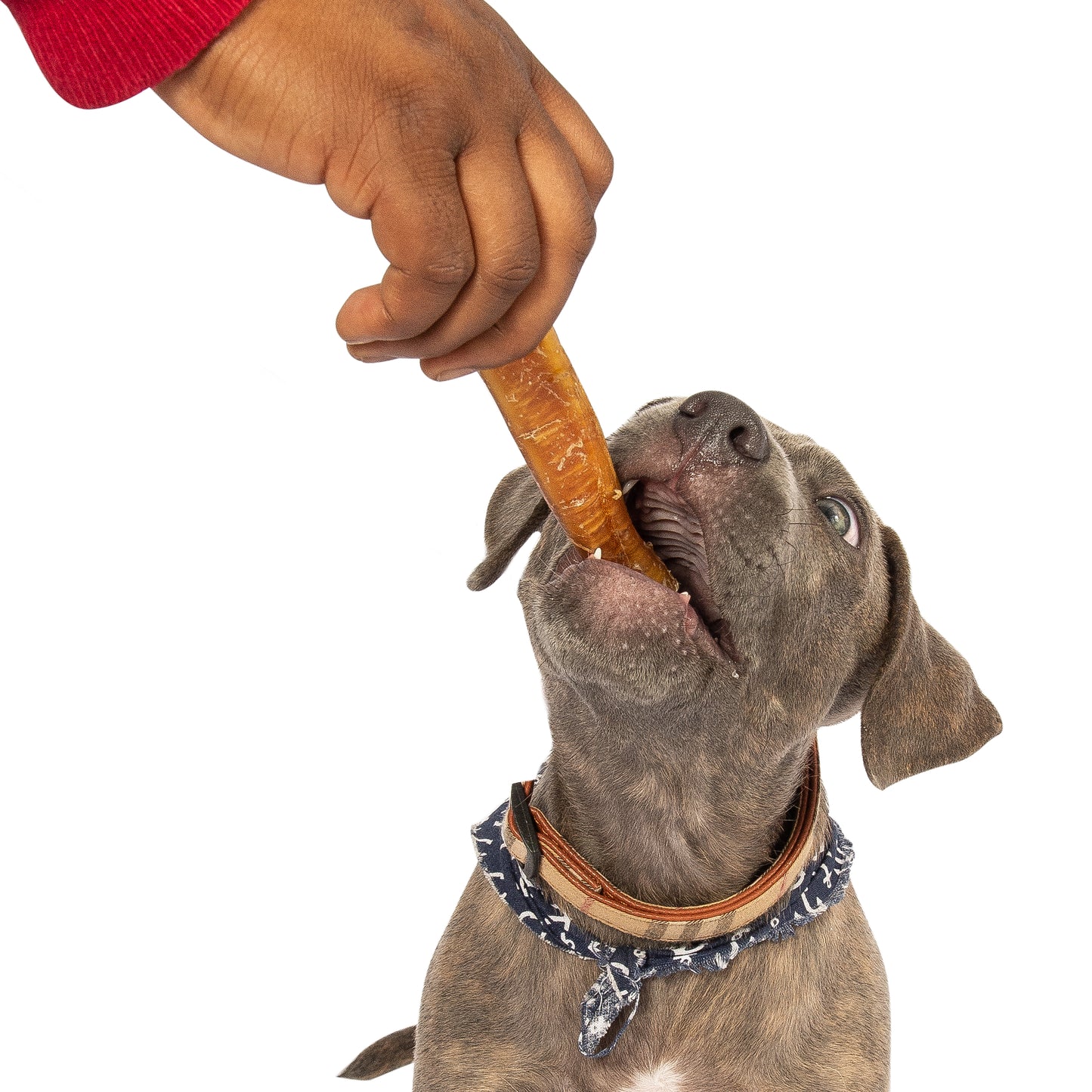 Bully Sticks - 4-5 Inch, 50 Count (skinny)