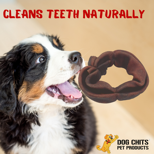 Collagen Ring 5 Inch Diameter, 1 Ring