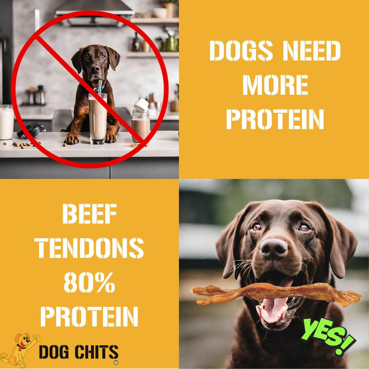 Beef Tendons, 7-9 Inch, 6 Pack