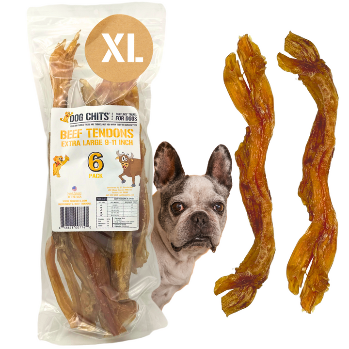 Beef Tendons EXTRA LARGE, 9-11 Inch, 6 Pack