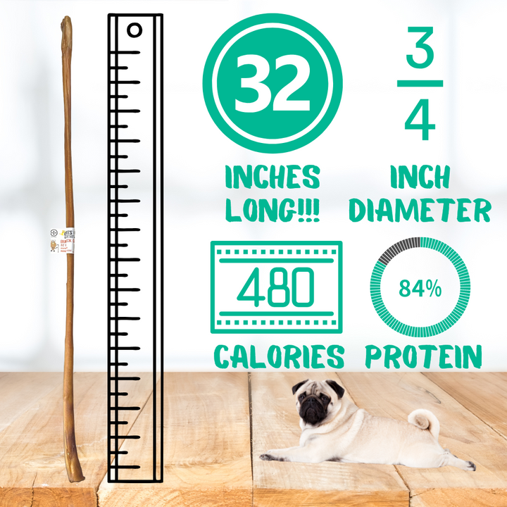 Bully Stick Canes - 32 Inch, 1 Pack