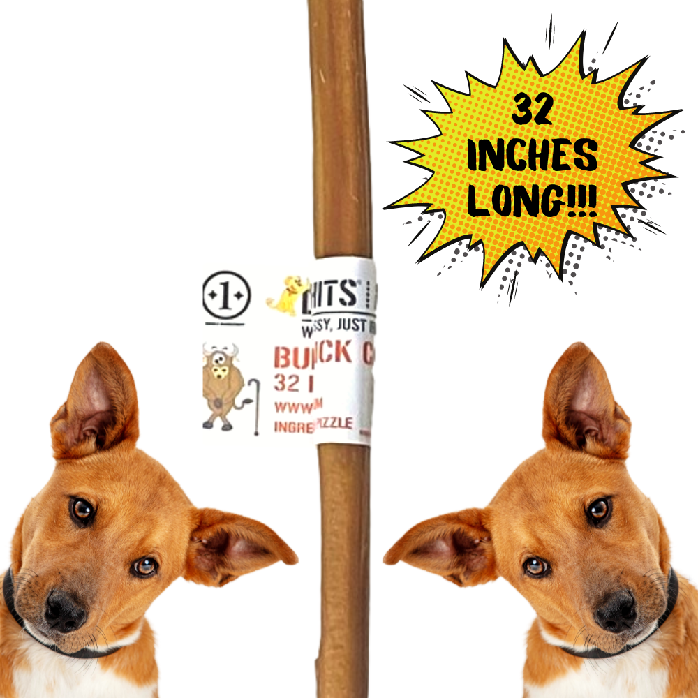 Bully Stick Canes - 32 Inch, 1 Pack