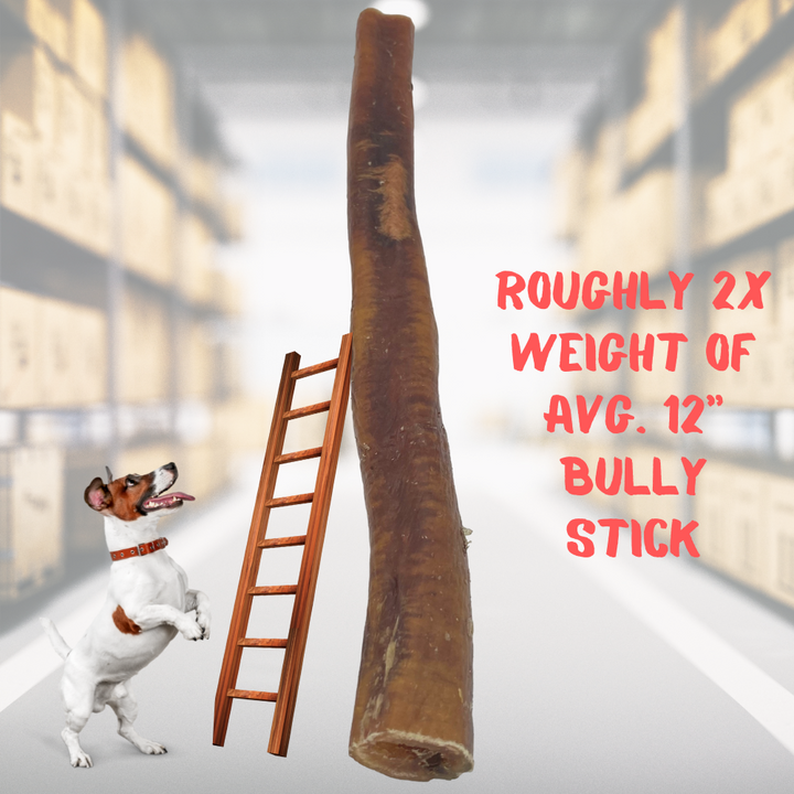 Bully Stick JUMBO, No Odor 12 Inch 15 Pack OPEN TOP BIN BOX