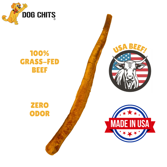 Bully Sticks 12 Inch, 30 Unit Bulk Box, Zero Odor, Made in USA, USA Beef