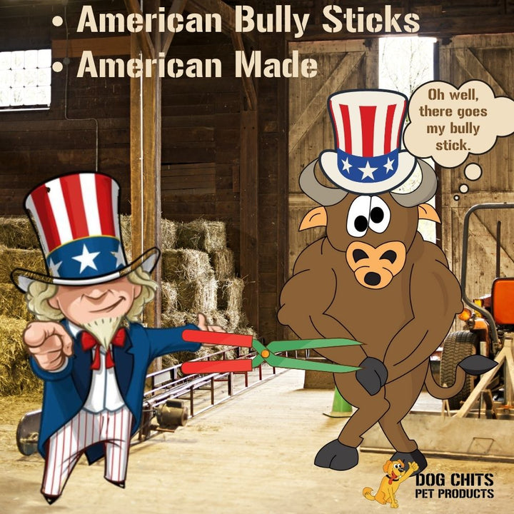 Bully Stick Canes - 32 Inch, 1 Pack