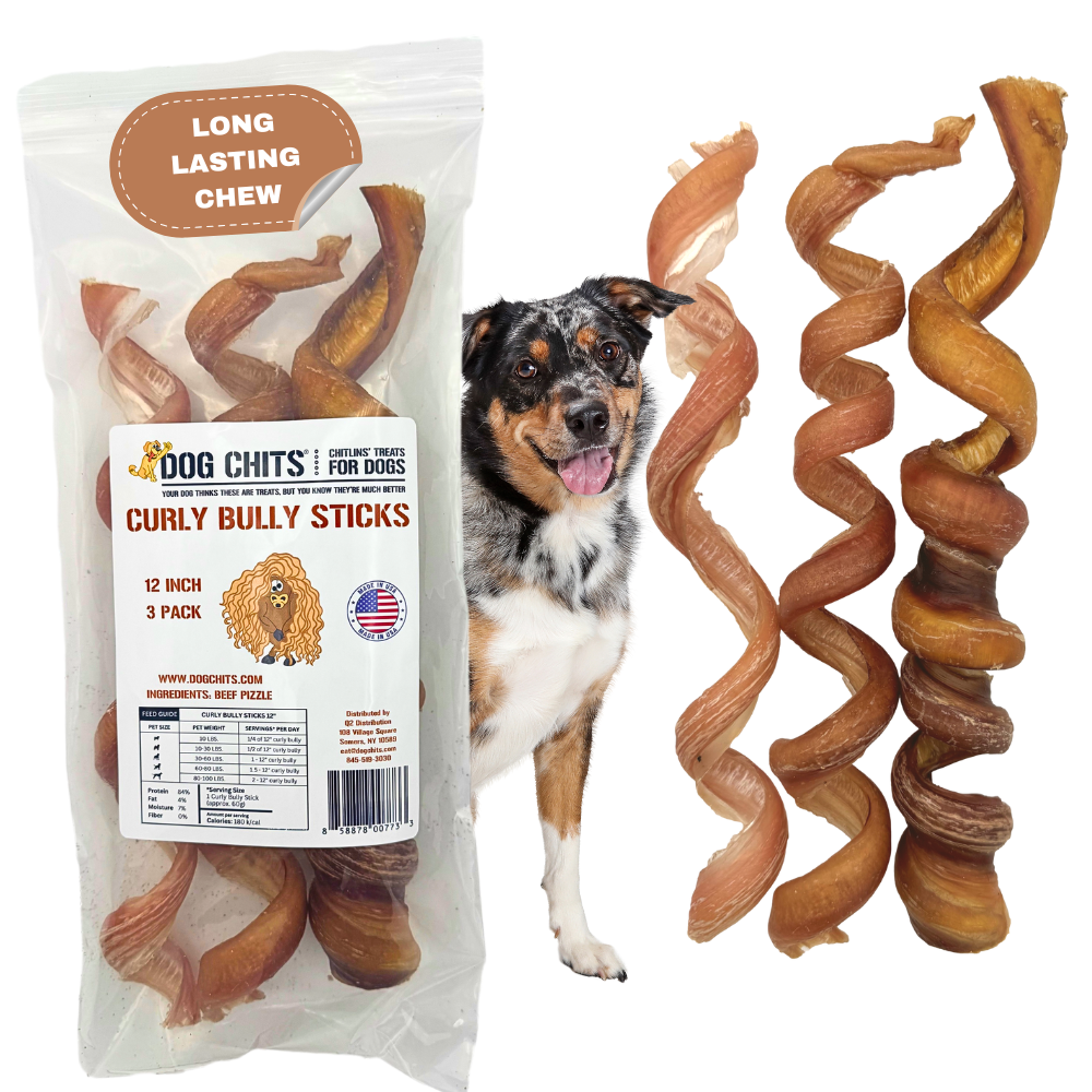 Curly Bully Sticks, 12 Inch, 3 Pack