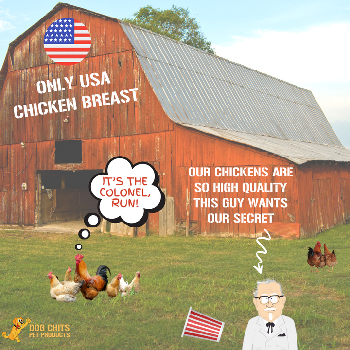 Chicken Breast Tenders for Dogs, 6 oz.