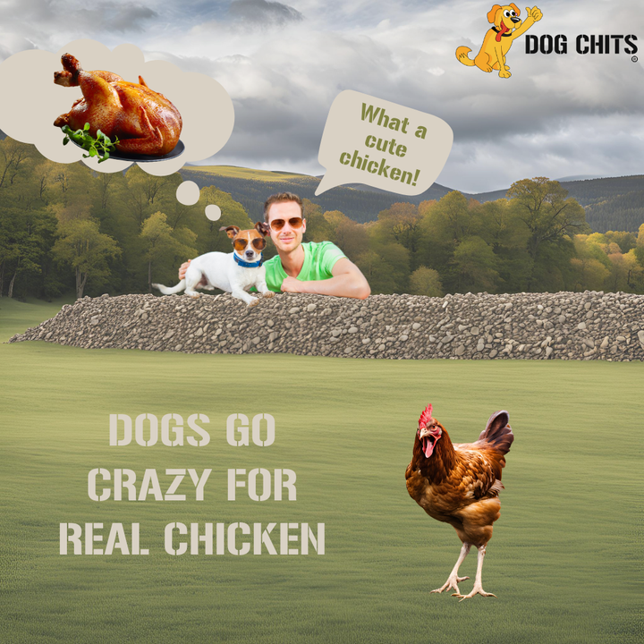 Chicken Breast Tenders for Dogs, 6 oz.
