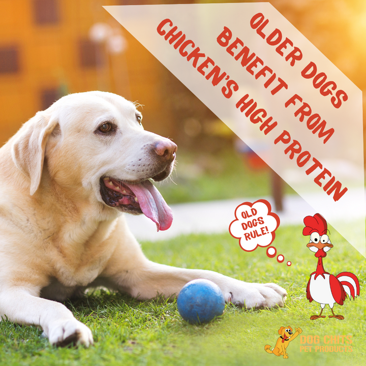 Chicken Breast Tenders for Dogs, 6 oz.