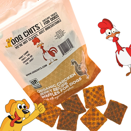Organic Chicken Jerky Soft Chews for Dogs - 4 oz.