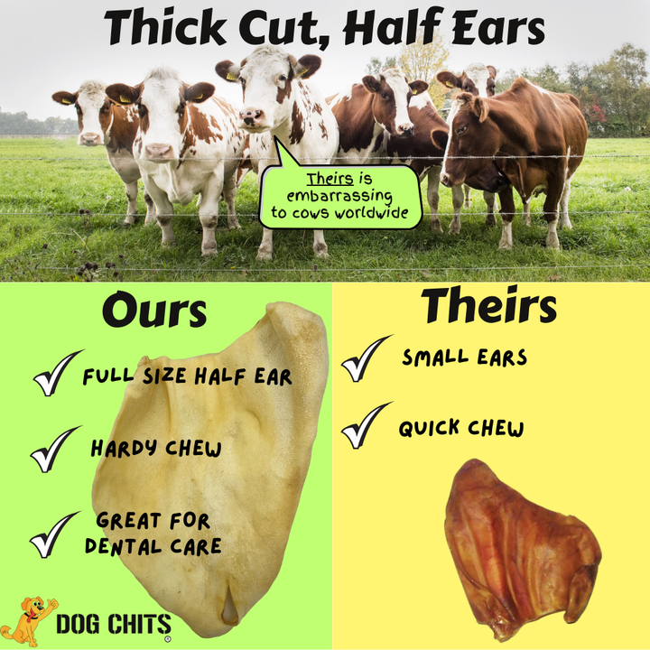 Cow Half Ears for Dogs, Large, 10 Pack