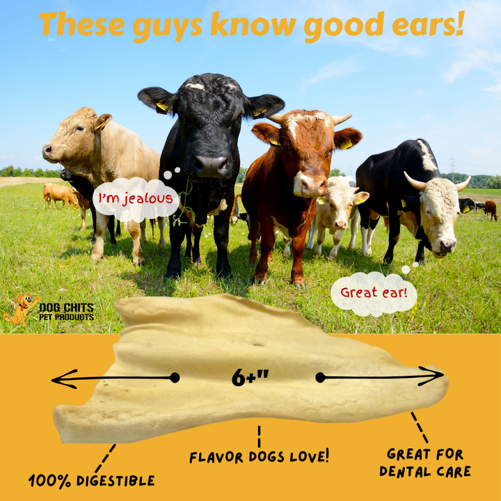 Cow Half Ears for Dogs, Large, 10 Pack