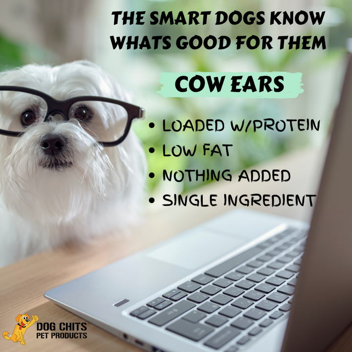 Cow Half Ears for Dogs, Large, 10 Pack