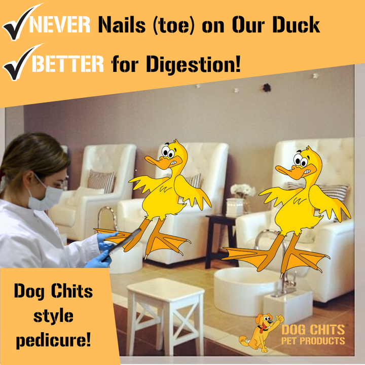 Duck Feet Dog Treats for Dogs - 28 pack (NO NAILS)