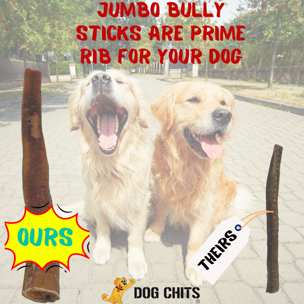 Bully Stick JUMBO 12 Inch 1 Pack Zero Odor Made in USA with USA Beef