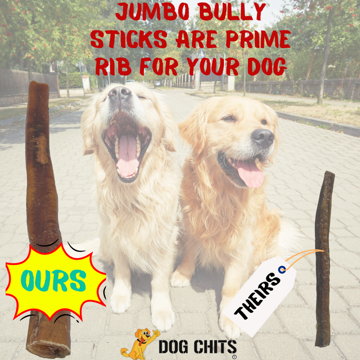 Bully Stick JUMBO, No Odor 12 Inch 15 Pack OPEN TOP BIN BOX