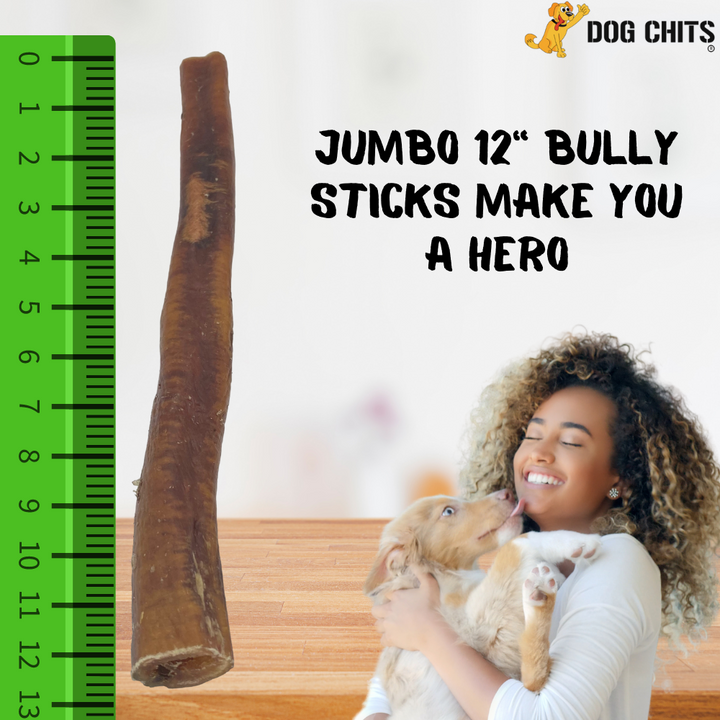Bully Stick JUMBO 12 Inch 1 Pack Zero Odor Made in USA with USA Beef
