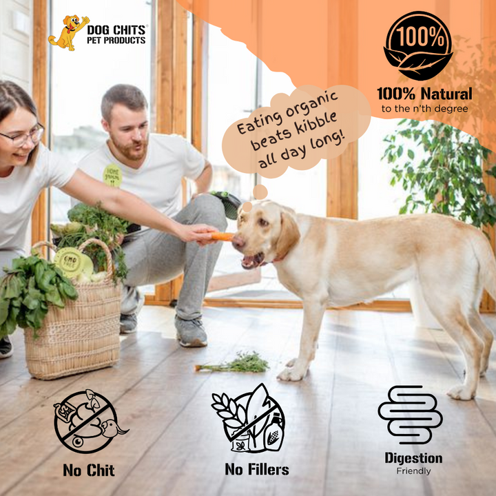 Organic Turkey and Sweet Potato Dog Chews - 4 oz