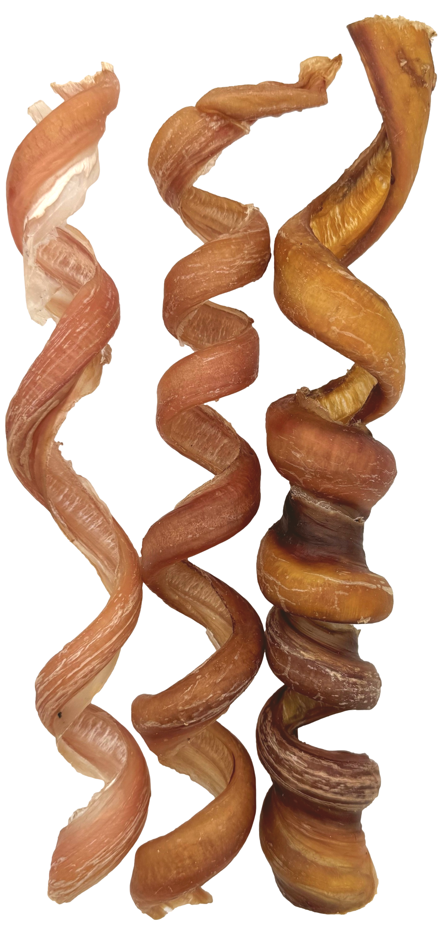 Curly Bully Sticks 12 Inch 25 Pack