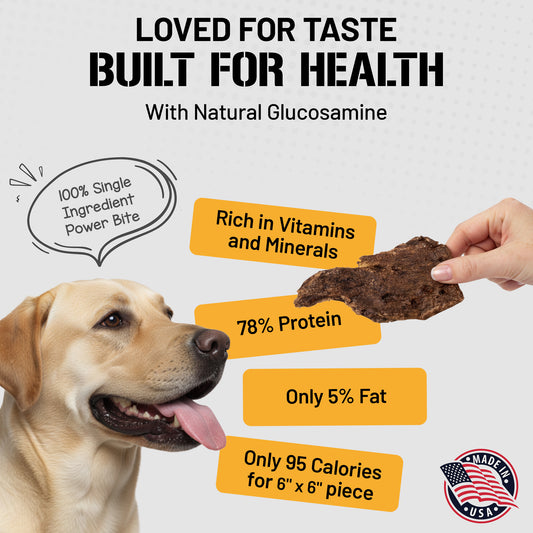 Bison Lung Fillet Treats for Dogs - 6 oz