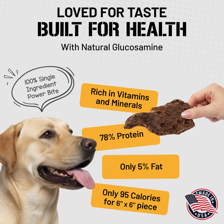 Bison Lung Fillet Treats for Dogs - 6 oz