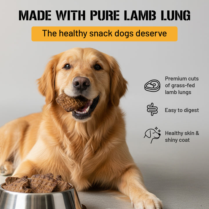 Lamb Lung Fillet Treats for Dogs - 10 oz