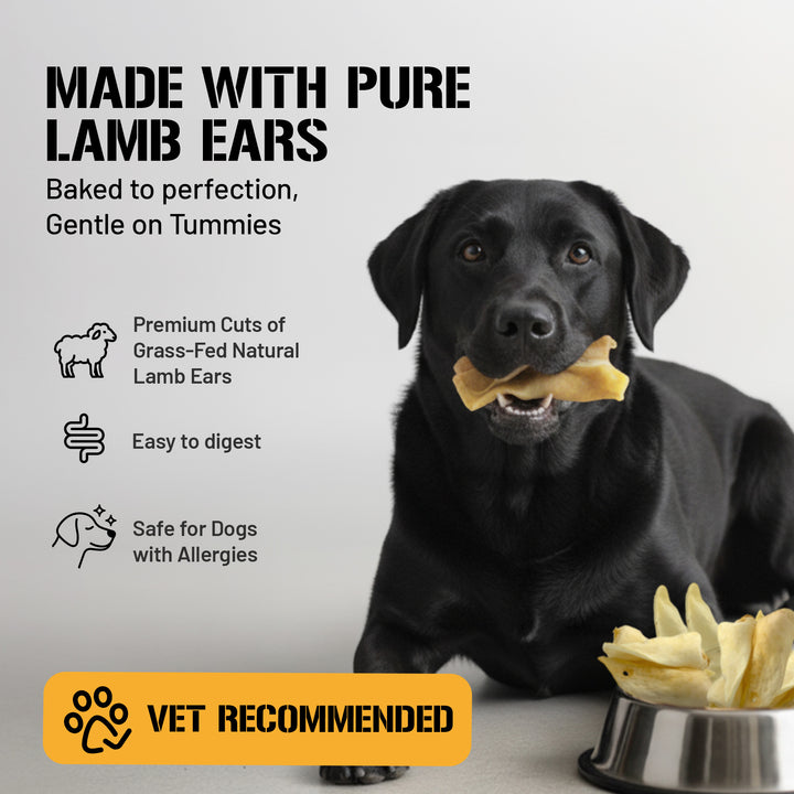 Lamb Ears for Dogs, Large - 15 Pack