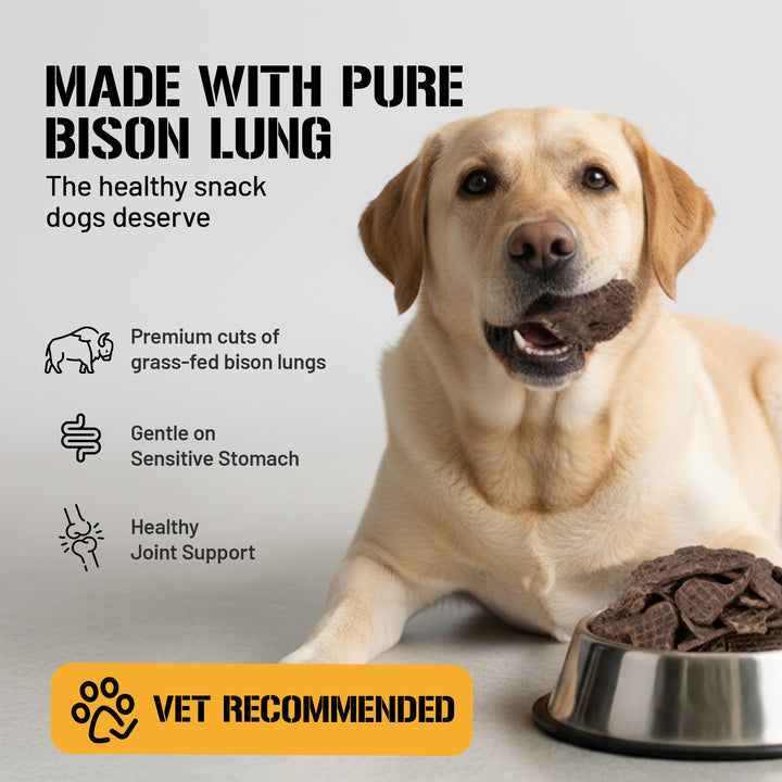 Bison Lung Fillet Treats for Dogs - 6 oz