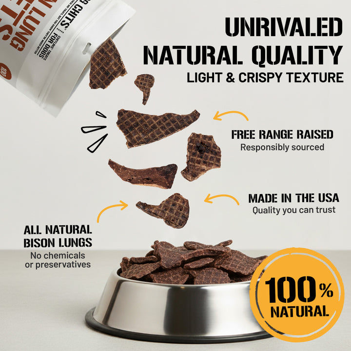 Bison Lung Fillet Treats for Dogs - 10 oz