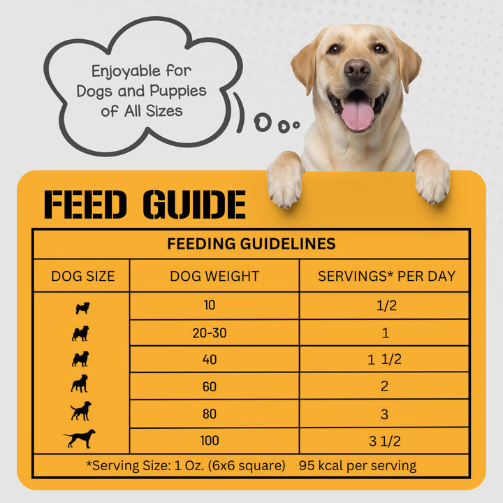 Bison Lung Fillet Treats for Dogs - 6 oz