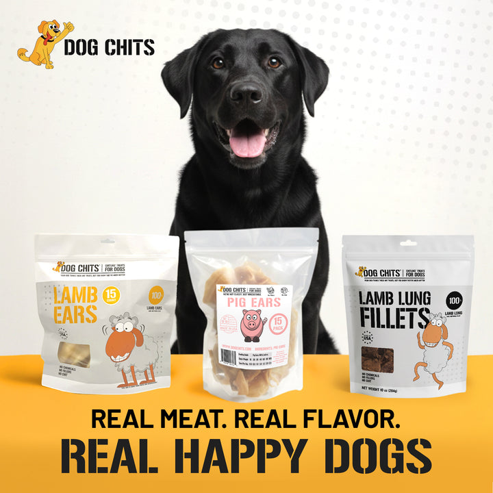 Lamb Ears for Dogs, Large - 25 Pack