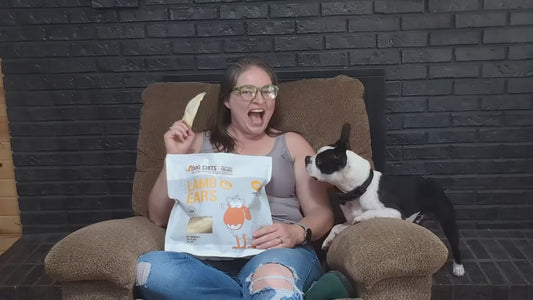 Lamb Ears for Dogs, Large - 25 Pack