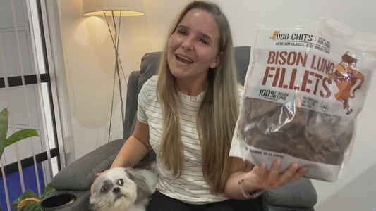 Bison Lung Fillet Treats for Dogs - 10 oz