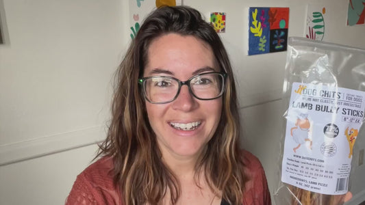 Lamb Pizzle, 8 oz. (Lamb Bully Sticks)