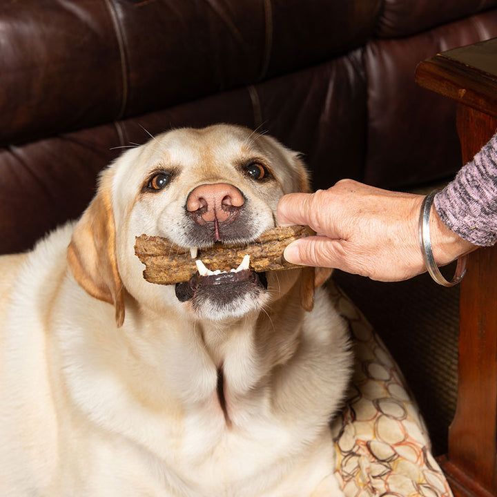 Bully stick holder product