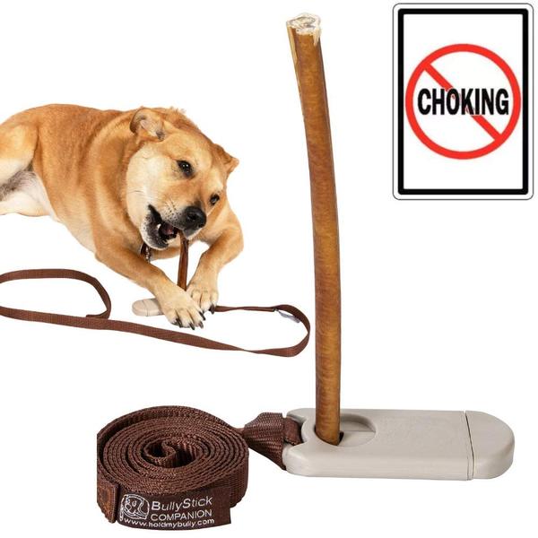 dog stick holder