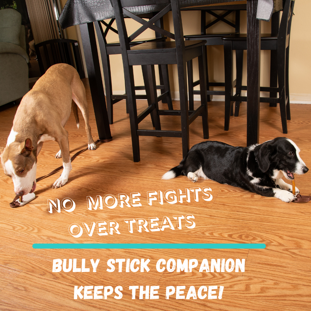 Bully Stick Companion - Bully Stick Holder VERSION 2