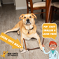 Bully Stick Companion - Bully Stick Holder VERSION 2